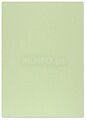 Cartolina 50x65cm Verde 3 180g 1 Folha 17205901/UN
