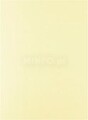 Cartolina 250gr 1 folha 50x65cm Creme Venda Multiplos: 125 unid