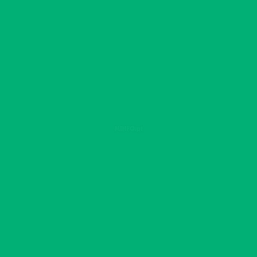 Cartolina 50x65cm Verde Hortelã 240g 25 Folhas Canson Cartolina 50x65cm Verde Hortelã 240g 25 Folhas Canson (Menta)