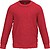 Sweatshirt de criança com decote redondo K475 - imagem 1