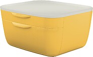 Leitz 53570019 bandeja de escritorio/organizador Poliestireno (PS) Blanco, Amarelo