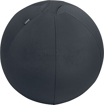 65410089 : BALÓN DE ASIENTO ACTIVE DE 55CM ANTIDESLIZANTE GRIS OSCURO LEITZ 65410089