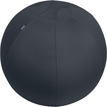 65420089 : BALÃO DE ASSENTO ACTIVE DE 65CM ANTIDERRAPANTE CINZA-ESCURO LEITZ 65420089