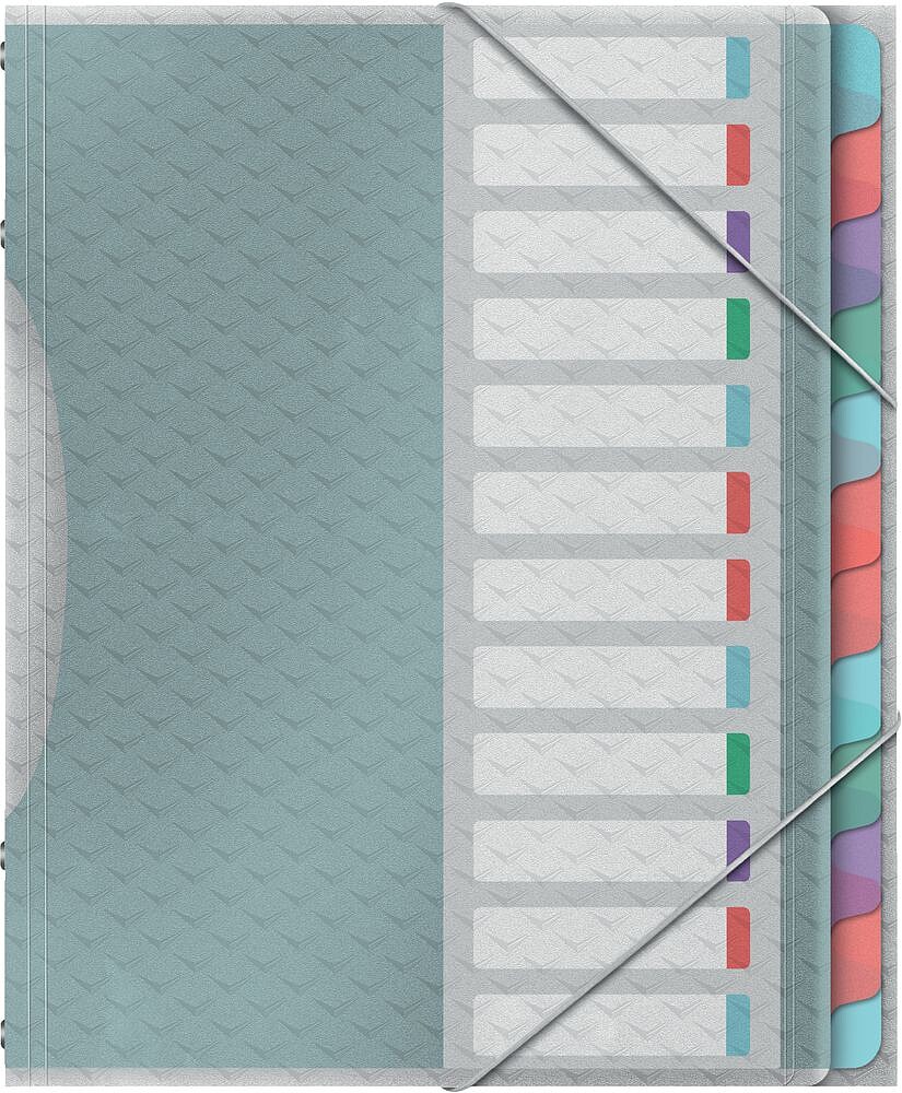 Esselte Colour’Breeze Classificador com 12 Divisórias Multicolor - Para Formato A4 - 3 Divisórias na Contracapa - Polipropileno em Relevo - Fecho com Borracha Elástica - Cor Translúcida 626256