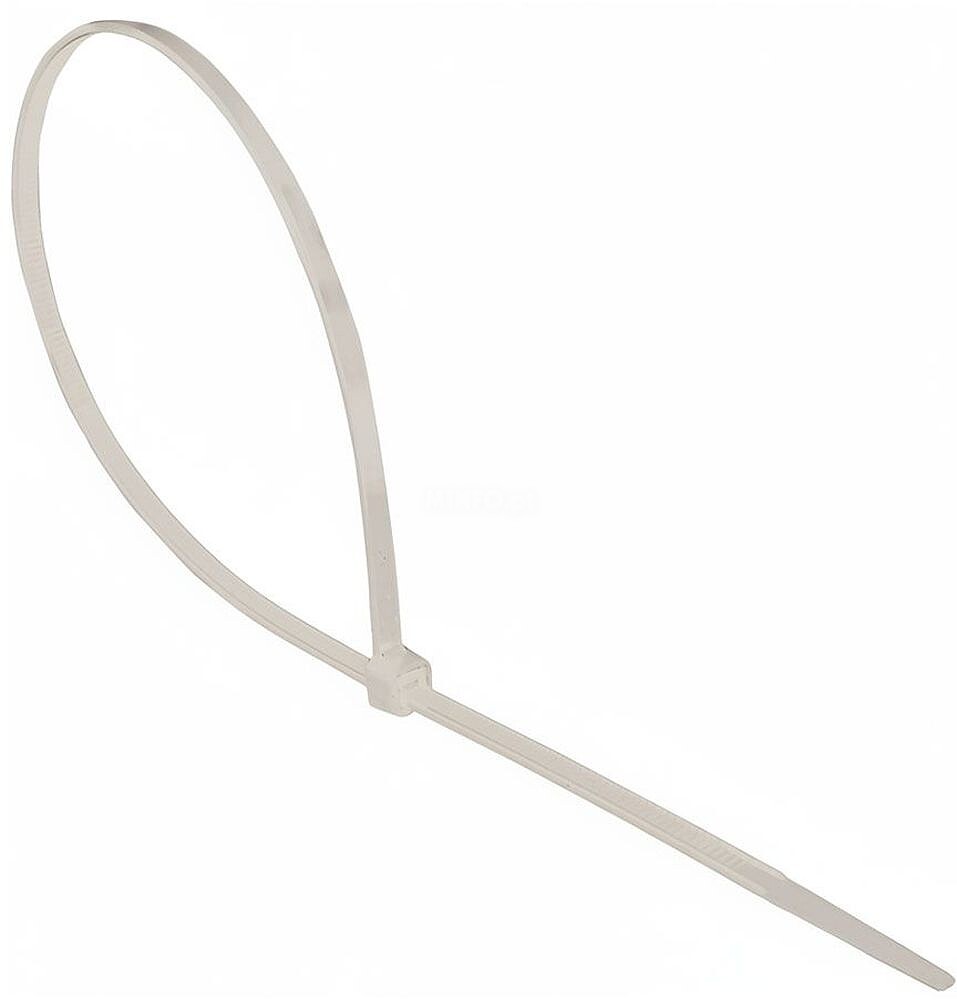 Brida Nylon 2,5 x 100 mm Natural, 100 uds G-48240