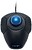 Kensington Trackball Orbit com Anel de Deslocamento - Bola de 40mm - Personalização de Botões - Precisão Óptica - Apoio de Pulso Removível - Preto - imagem 1