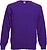 Sweatshirt com mangas raglan (62-216-0) SC4 - imagem 1