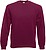 Sweatshirt com mangas raglan (62-216-0) SC4 - imagem 1