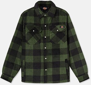 DK0A4XTA Camisa Portland (EX. DSH5000) tam: M cor: Green/ Bl...