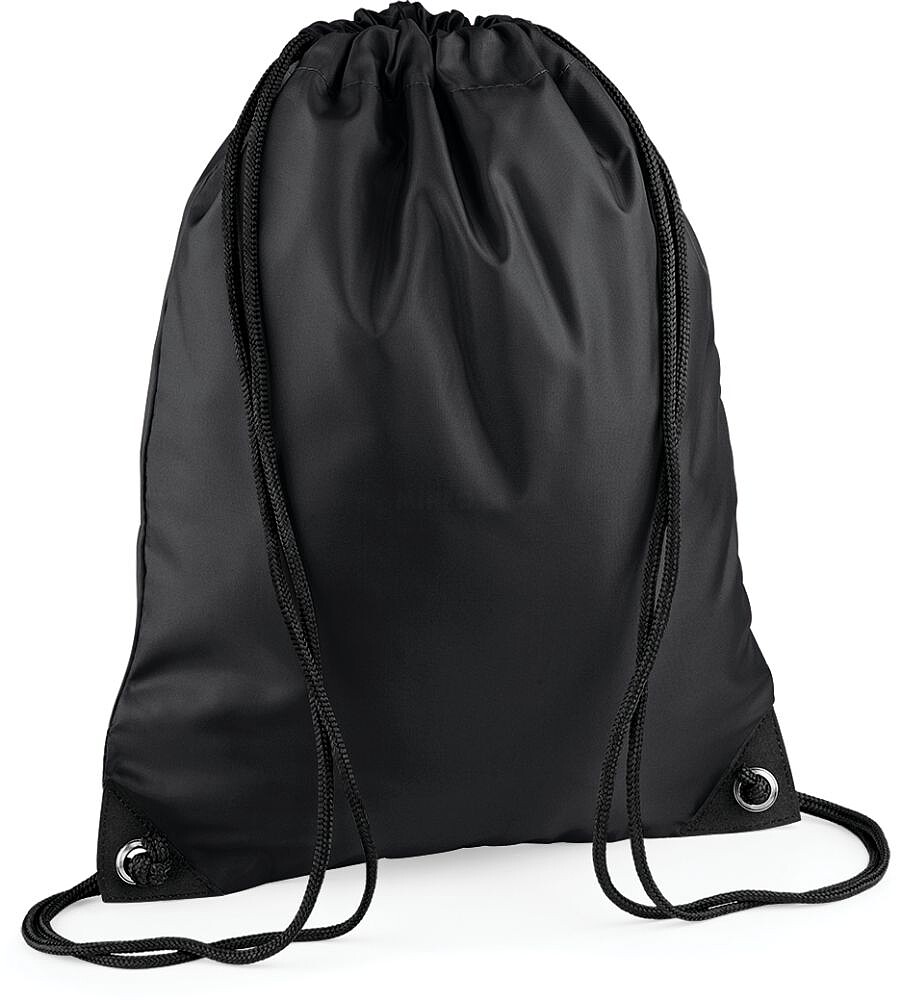Saco BG10