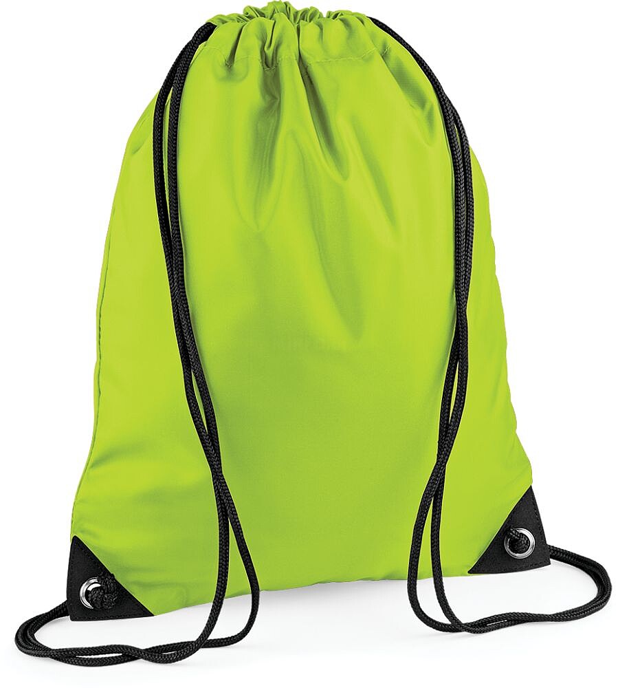 Saco BG10