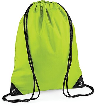 Saco BG10