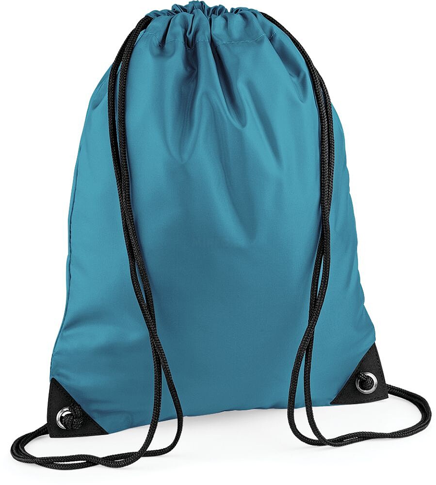 Saco BG10