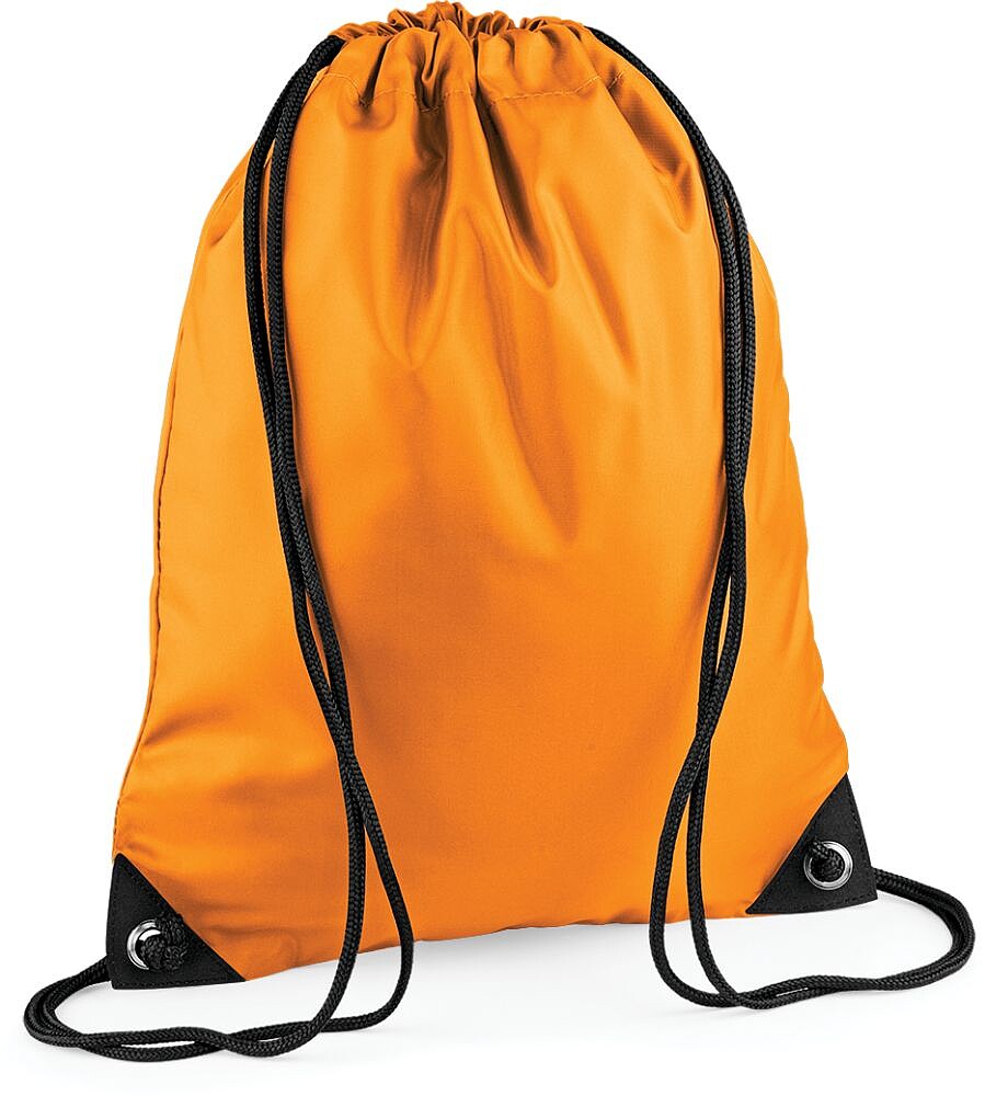 Saco BG10
