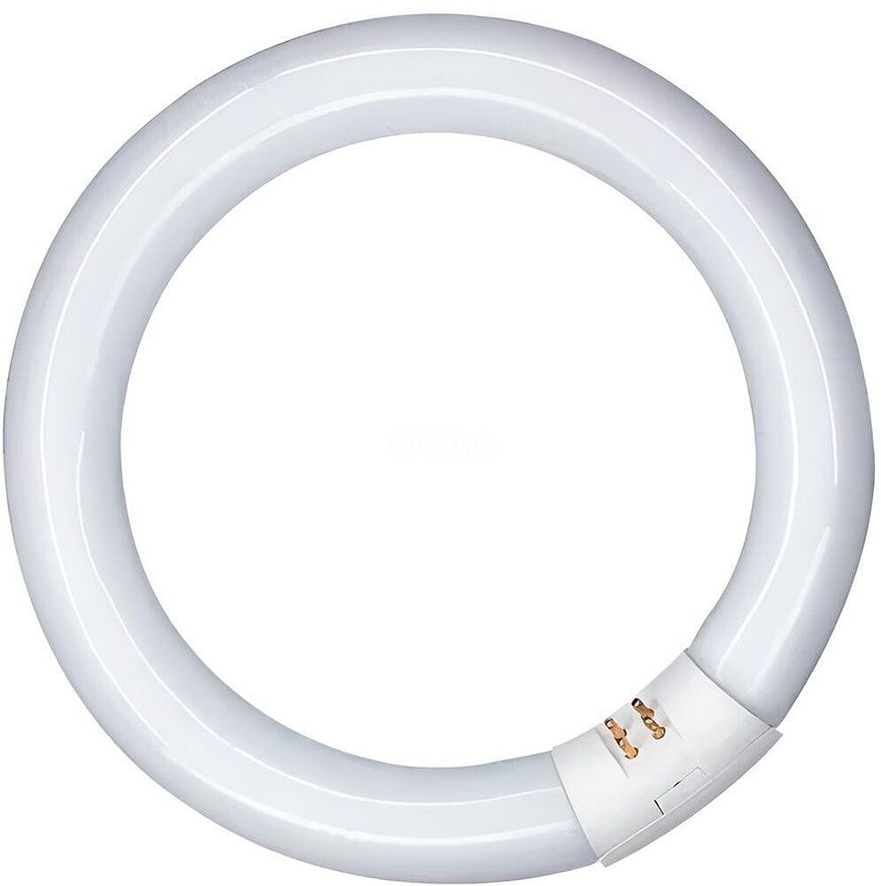 Tubo Fluorescente Circular 40W, G10Q, 6500 K Luz Fria Ø400 mm G-31116