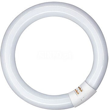 G-31116 31116 TUBO FLUORESCENTE CIRCULAR 40W, G10Q, 6500 K LUZ FRIA Ø400 mm
