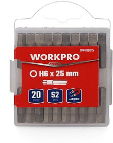 G-21371 21371 PONTA MAGNÉTICA H6 x 25 mm, JOGO DE 20 PEÇAS