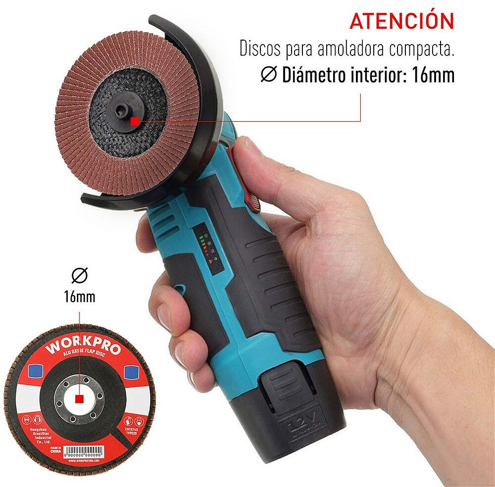 Disco de Lâminas Plano Ø100x16mm 80 g. WORKPRO G-21145