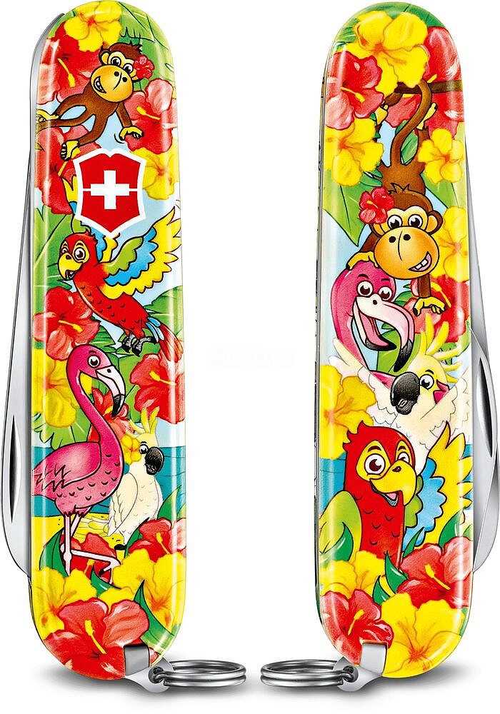 O Meu Primeiro Conjunto Victorinox, Edição Parrot 02373.E3