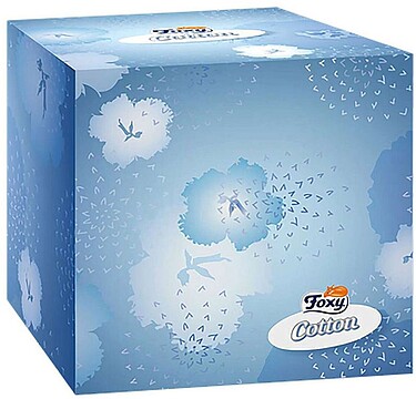 G-95275 : 95275 CAIXA DE LENÇOS CÚBICA 60 UNIDADES FOXY