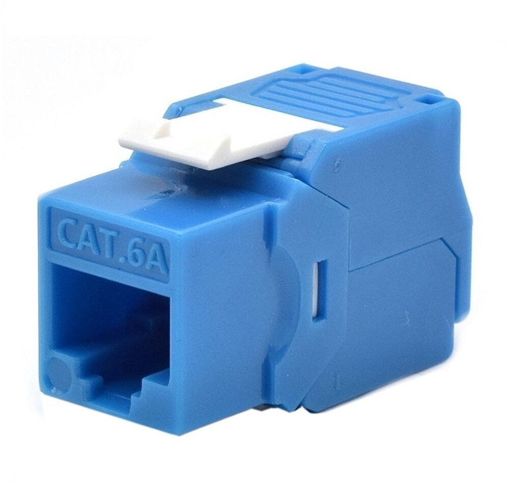 Presa Keystone WP CAT.6A Utp, sem Ferramentas, Cor Azul WPC-KEY-6AUP-TL/B