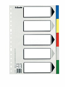 Esselte 613 Porta-Documentos com 5 Separadores de Plástico ...