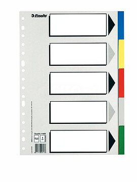 Esselte 613 Porta-Documentos com 5 Separadores de Plástico - 5 Abas/ 5 Cores - Multiperfuração - Formato A4 11609