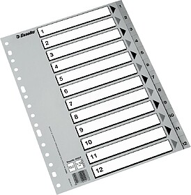 Esselte Índice Numérico de Plástico - Abas 1 a 12 - Multi...