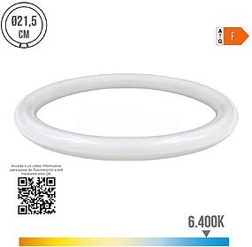 31187 TUBO FLUORESCENTE CIRCULAR LED 12W 1.000LUMENS 6.400K ...