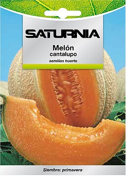 Semillas Melon Cantalupo (3 gramos) Semillas Frutas, Horticultura, Horticola, Semillas Huerto
