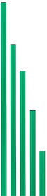 PICA PVC - Verde 70 cm