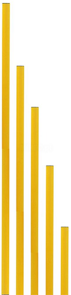 Pica PVC