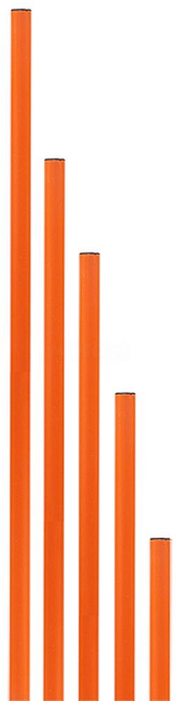 Pica PVC