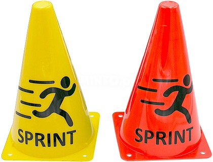 Cone Training Sprint