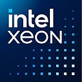 Intel Xeon 6325P - 3.5 GHz - 4 cores - 8 threads - 12 MB cache - FCLGA1700 Socket - OEM CM8071506036701