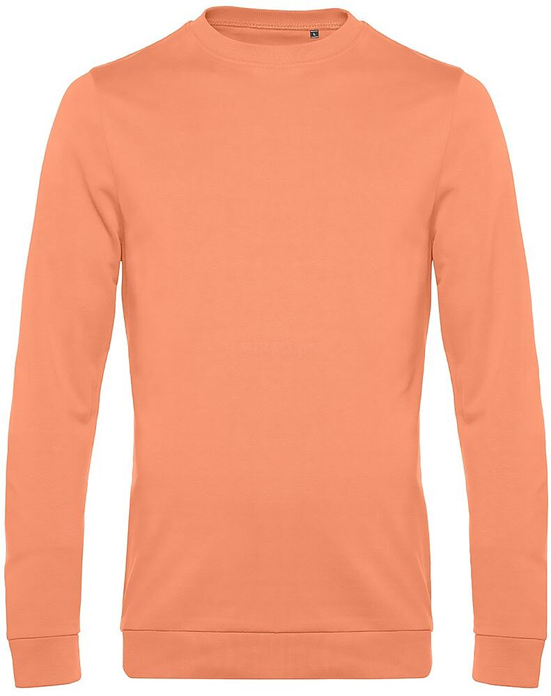 Sweatshirt #Set-in 280g BC560316