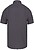 Camisa micro sarja manga curta supreme não precisa passar a ferro K539 - imagem 2