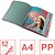 Esselte Colour’Breeze Classificador com 12 Divisórias Multicolor - Para Formato A4 - 3 Divisórias na Contracapa - Polipropileno em Relevo - Fecho com Borracha Elástica - Cor Translúcida 626256 - imagem 2