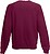 Sweatshirt com mangas raglan (62-216-0) SC4 - imagem 2