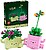 LEGO - Plantas de Balançar 11506 - imagem 2
