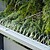 Disuasor de Espiral para Aves Ideal para Varandas 5M 06097 - imagem 2