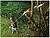 S. de Serra de Pertiga 800W 25cm PS7525-QS Preto+Decker G-84442 - imagem 3