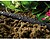 CELLFAST - Mangueira de Rega Gota-A-Gota - 1/2” - imagem 3