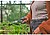 Tesoura Multicut Gardena G-74383 : 74383 - imagem 4