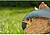 Mangueira Liano Xtreme 20m, 3/4” Gardena G-74392 - imagem 5