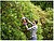 S. de Cortasetos 500W 55cm 22mm BEHTS401-QS Black+Decker G-84434 - imagem 5