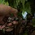 Chaveiro 7 em 1 Multiusos G-21311 - imagem 5