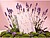 Agenda de escritório liderpapel 2027 espiral flowers a dia/página a5 bilíngue papel 70g fsc design 2 - imagem 5