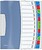 Classificador 12 separadores. PP. A4 VIVIDA : sortido : venda multiplos 20 uni es624030 - imagem 1