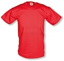 T-shirt Valueweight T 165g FL610360